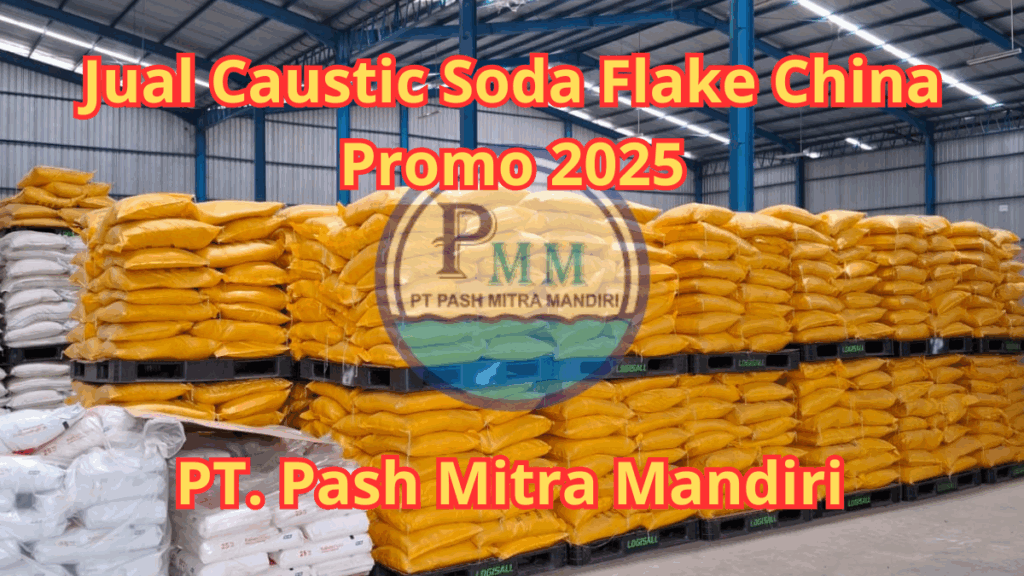 Jual Caustic Soda Flake China Promo 2025