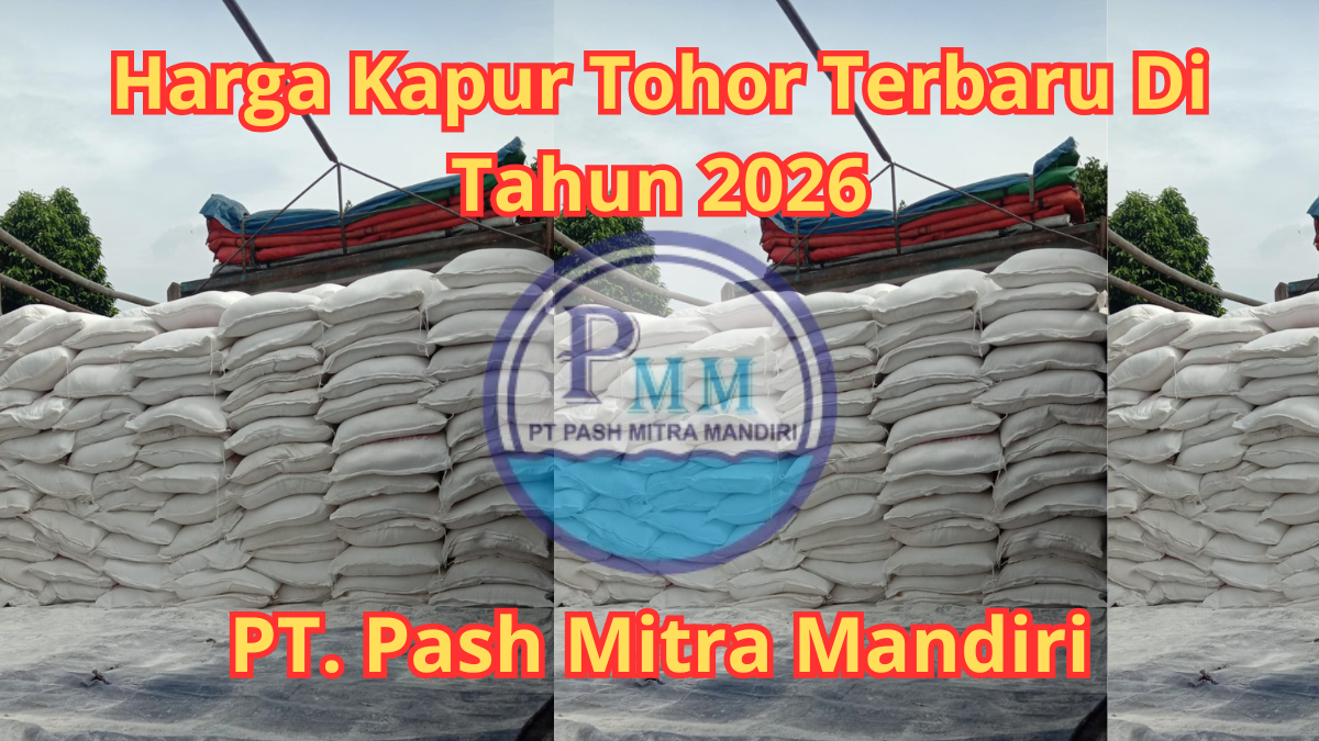 Harga Kapur Tohor Terbaru Di Tahun 2026