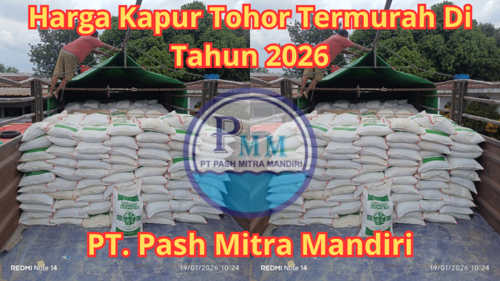 Harga Kapur Tohor Termurah Di Tahun 2026