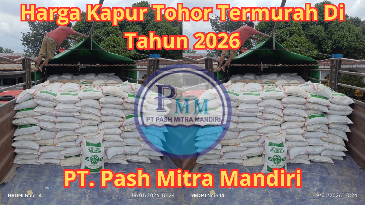Harga Kapur Tohor Termurah Di Tahun 2026